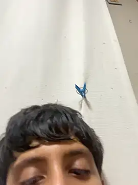 flacoVERGOON21cm live