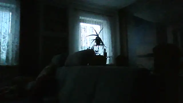 Geiler668 live