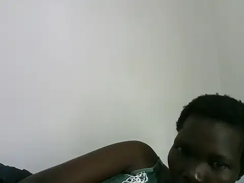 ZediBeb live