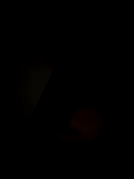 Aly_96 live