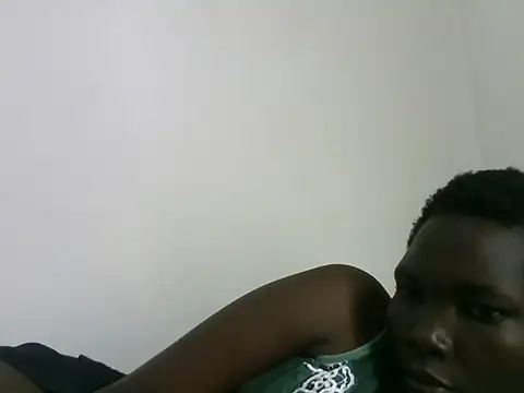 ZediBeb live