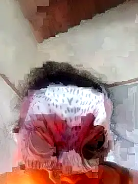 wildtulip0 live