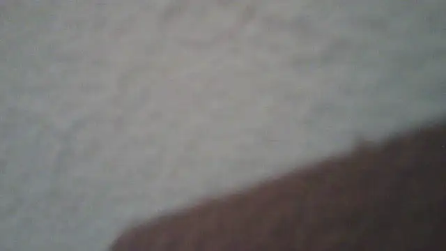 lollaxjf live