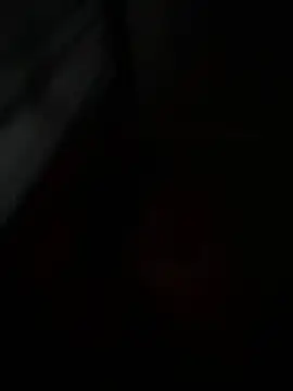 petite_bee live
