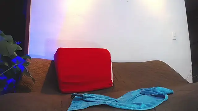 shellsy_hans profile