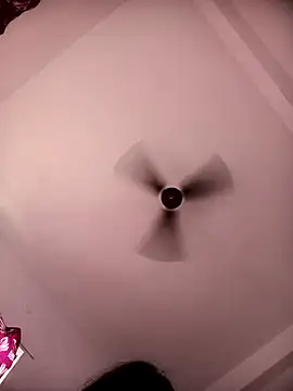 Shaniya03 live