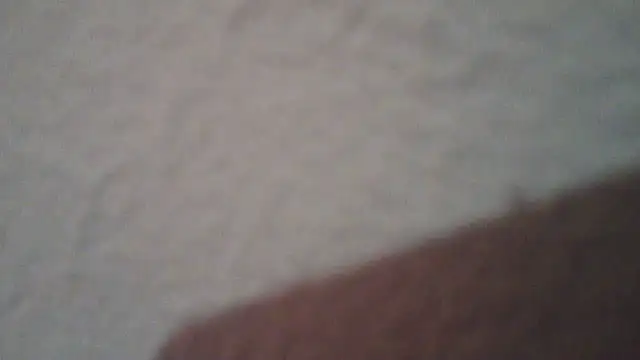 lollaxjf live