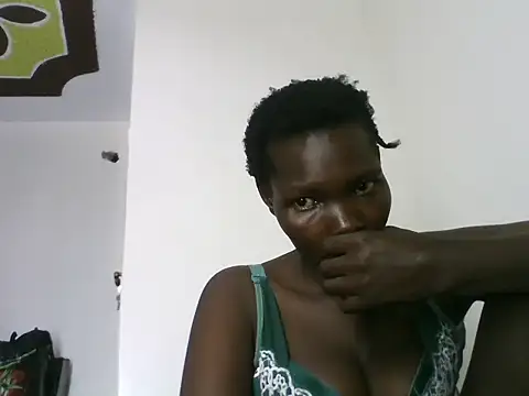 ZediBeb live