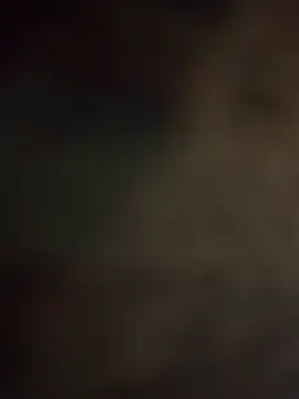 BunnyYT live
