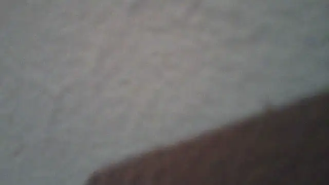 lollaxjf live