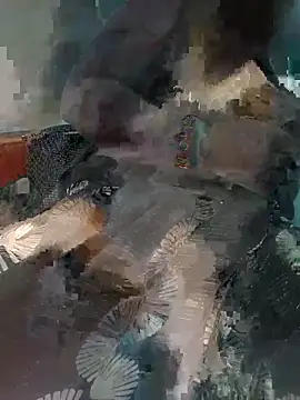 Anjali-bhabhi live