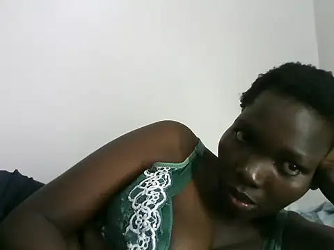 ZediBeb live
