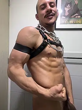lazzon_bastion live