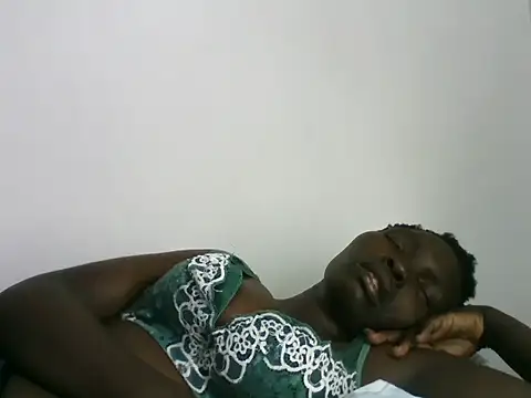 ZediBeb live