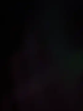 BunnyYT live