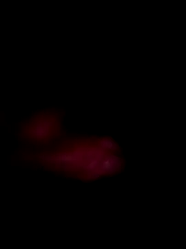 Jhon970711 profile
