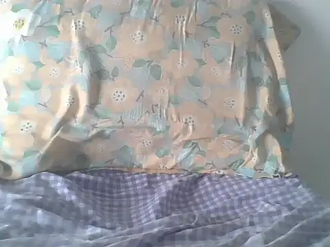 Moh_squirtie live