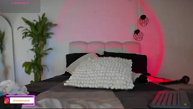 charlotteinpool live