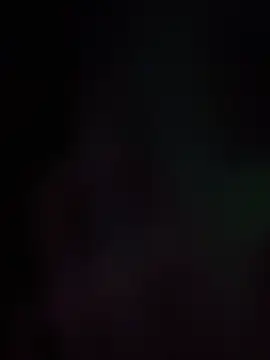 BunnyYT live