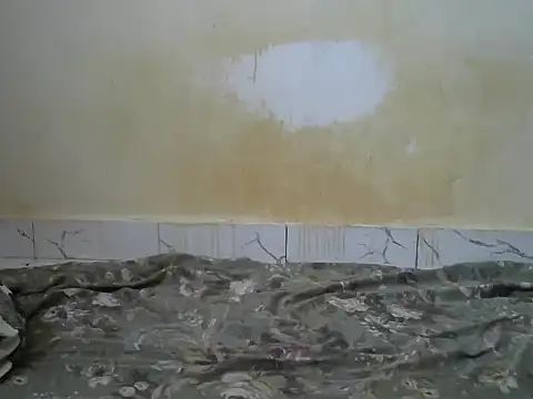 sexyzena_ live