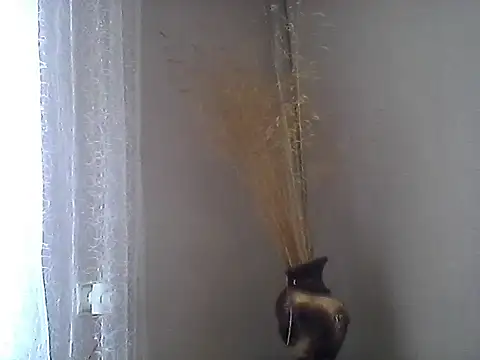 Littlecatme live