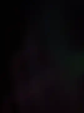 BunnyYT live