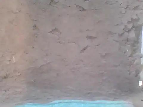 Vegas6l live