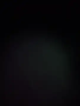 BunnyYT live
