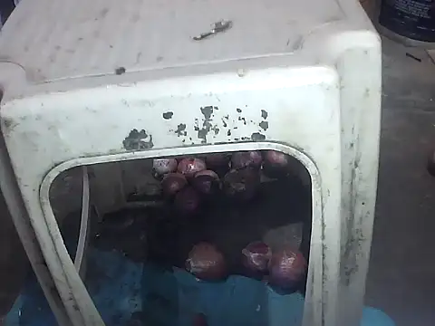 Precumking1 live