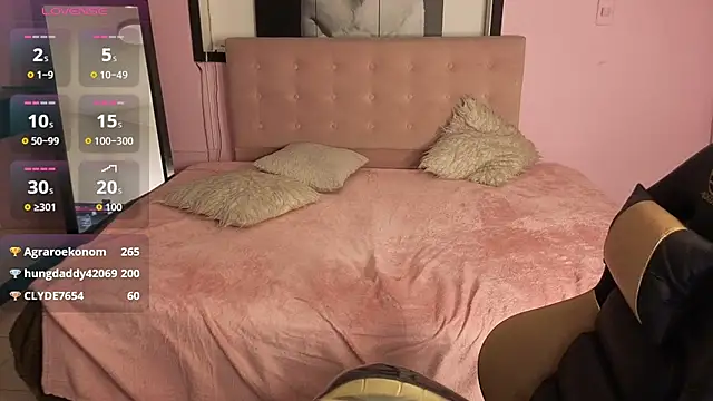 Sweet_cat_t live