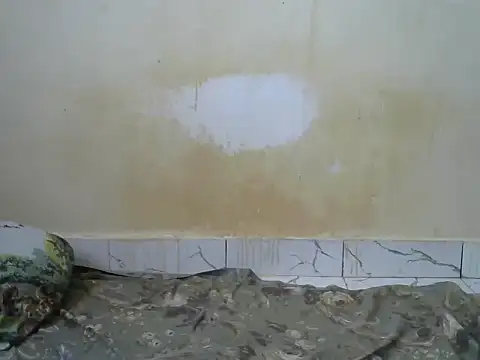 sexyzena_ live