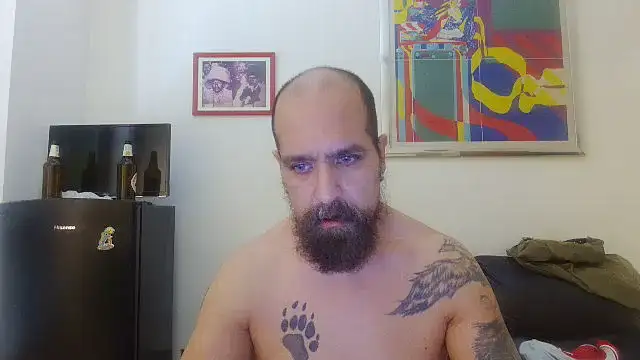 AMIRDIB2025 live