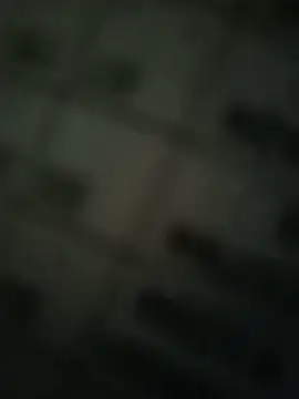 NICK2026N live