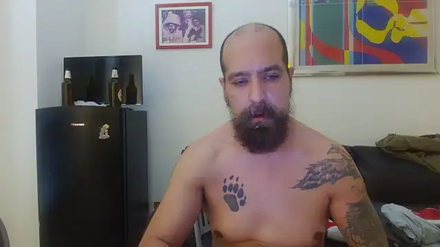 AMIRDIB2025 profile
