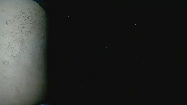 StereoSock live