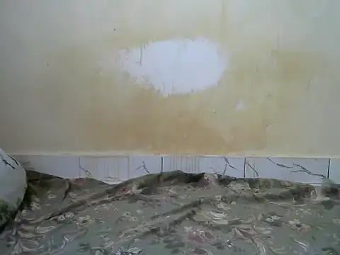 sexyzena_ live