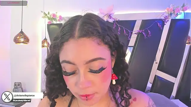 antonelllepiercee live