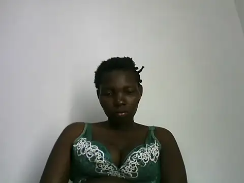 ZediBeb live