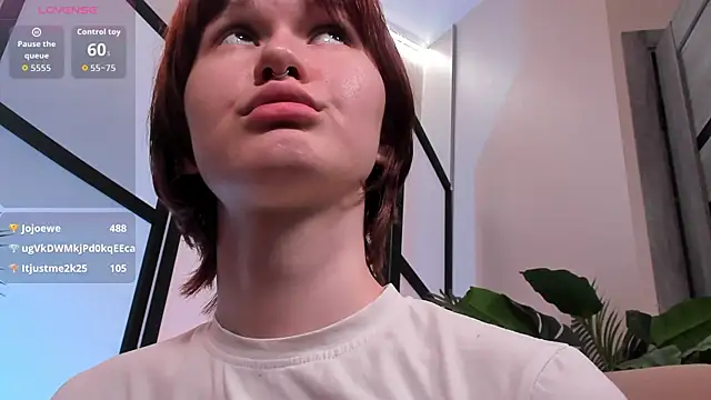 Aria_Vox live