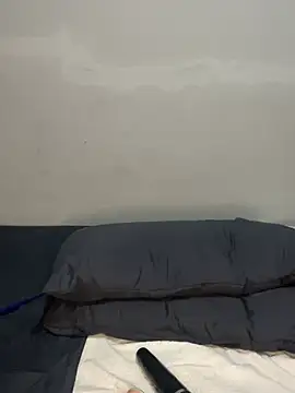 petite_bee live
