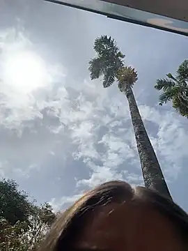 TaylorrHill live
