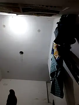sexy_3202 live