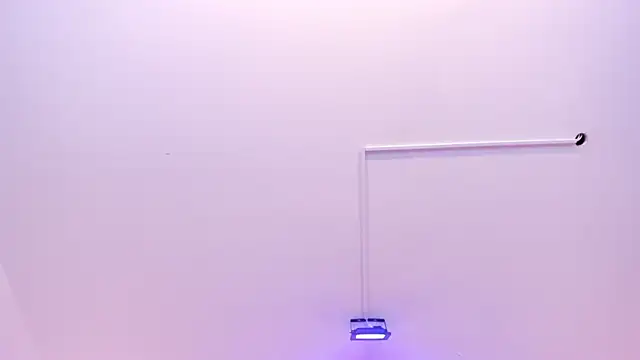 Evelyn-Price live