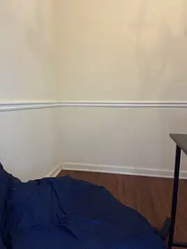 lexstorm live