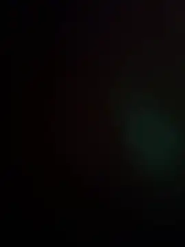 BunnyYT live