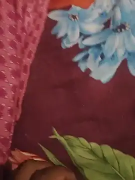 dollpum live