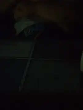 bufnita5 live