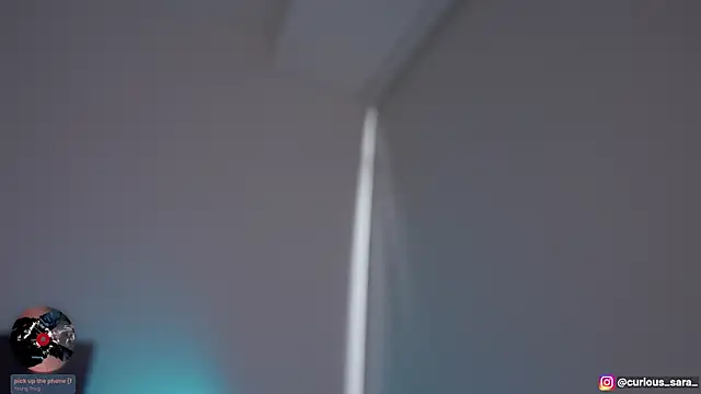 _curiouskitten_ live