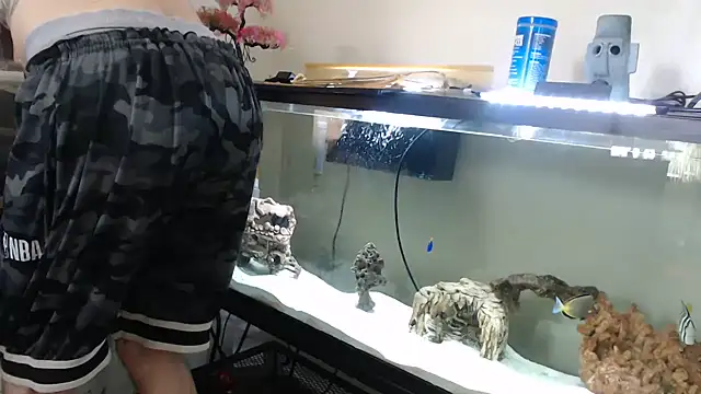 EspanolVato live