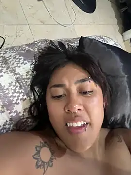 pawmistry live